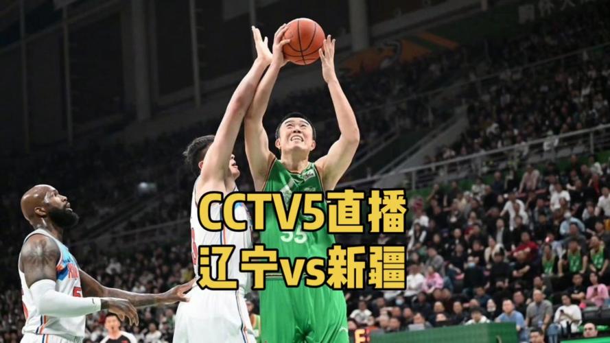 辽宁体育频道直播篮球今天